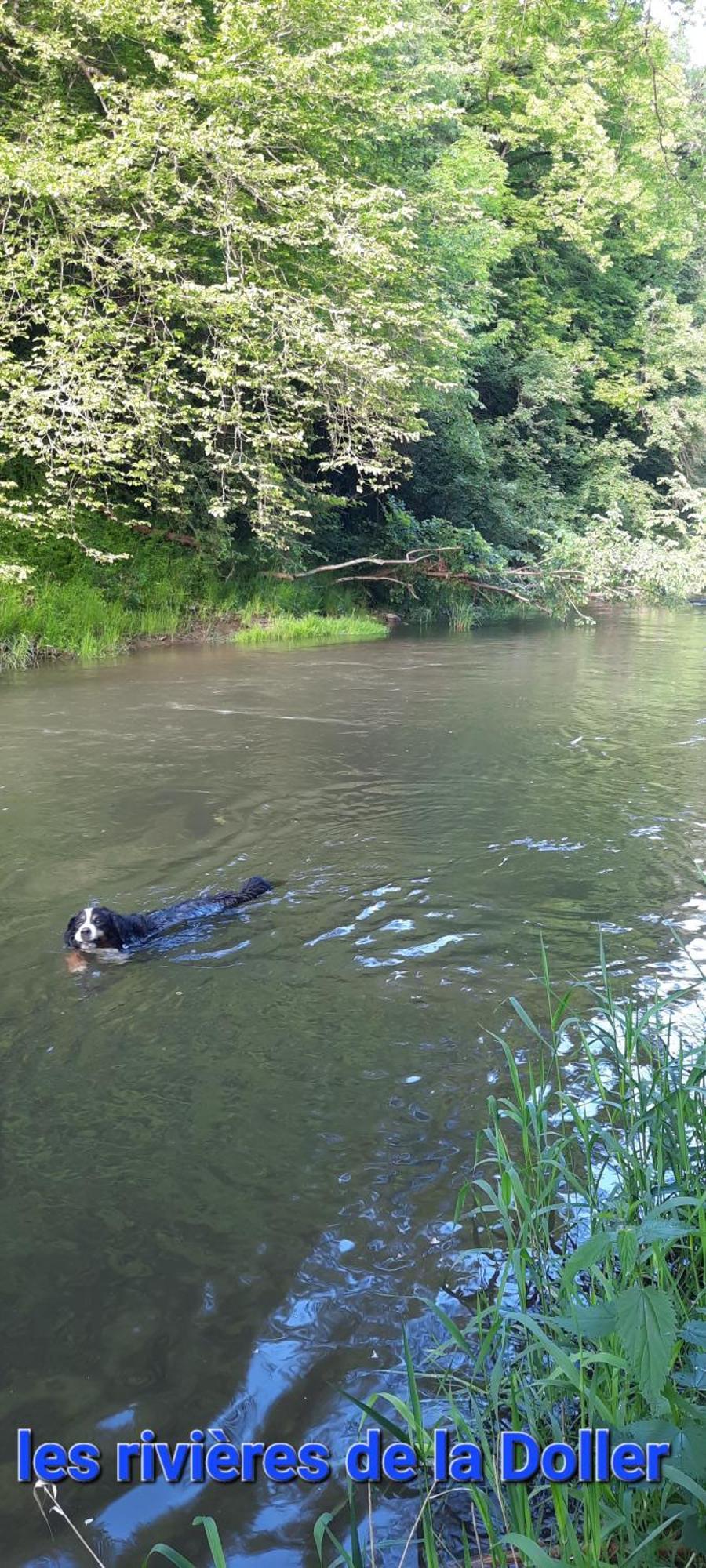 Gite Au Petit Verger Masevaux-Niederbruck Esterno foto