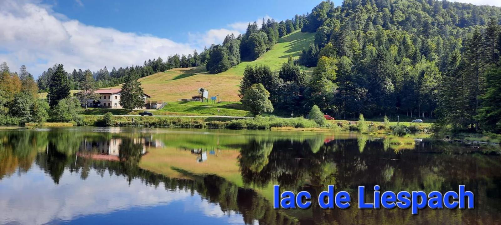 Gite Au Petit Verger Masevaux-Niederbruck Esterno foto