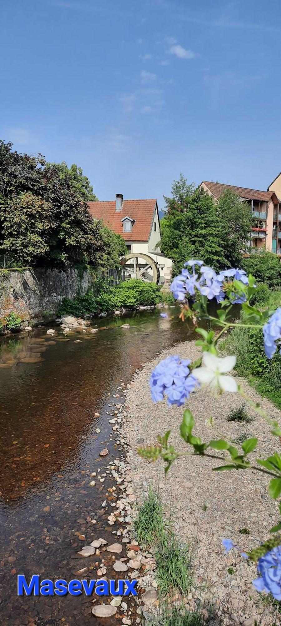 Gite Au Petit Verger Masevaux-Niederbruck Camera foto