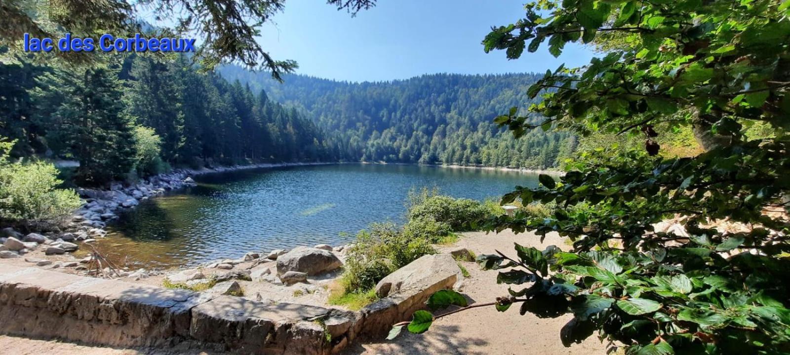 Gite Au Petit Verger Masevaux-Niederbruck Esterno foto